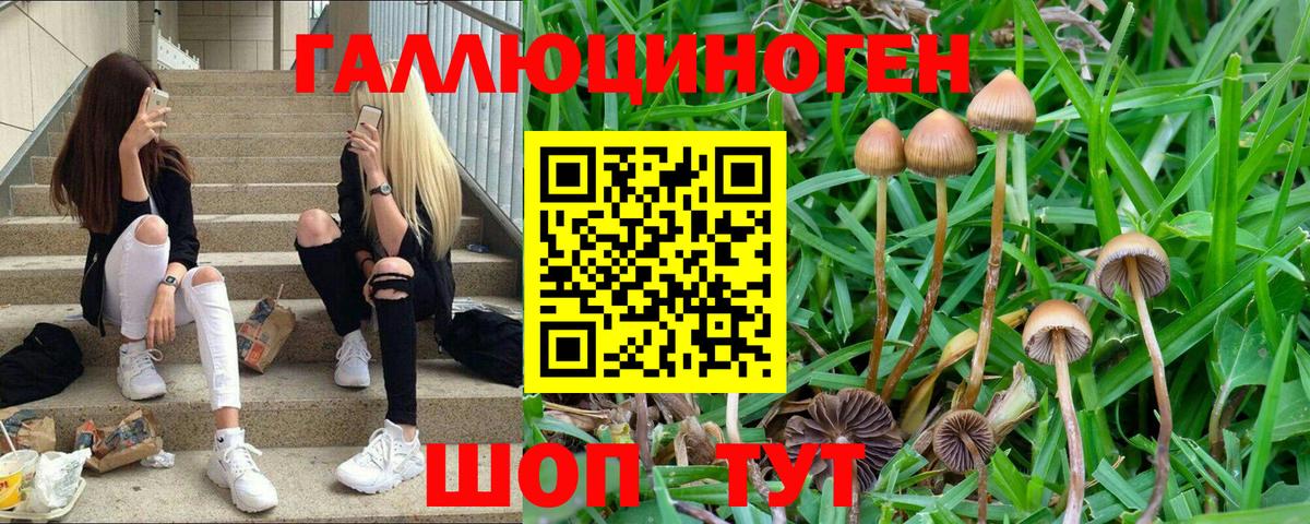 Тула  Псилоцибиновые грибы GOLDEN TEACHER  Вход с VPN 