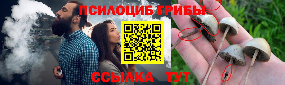 Псилоцибиновые грибы MAGIC MUSHROOMS Тула